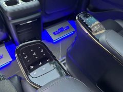 GAC Aion E9 2023 E9 Champion Edition - ფოტო 14
