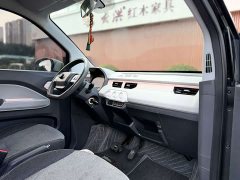 Chery QQ Ice Cream 120km Sweet Cone LFP - ფოტო 13