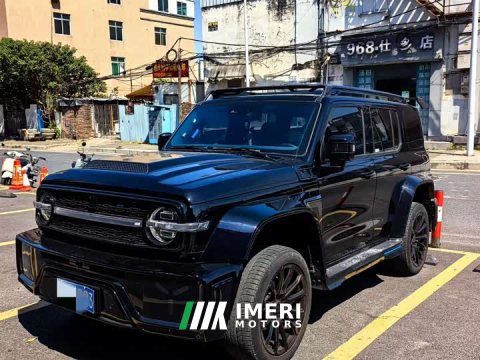 2024 Tank 300 2023 2.0T Cyber Knight - ავტომობილი ჩინეთიდან