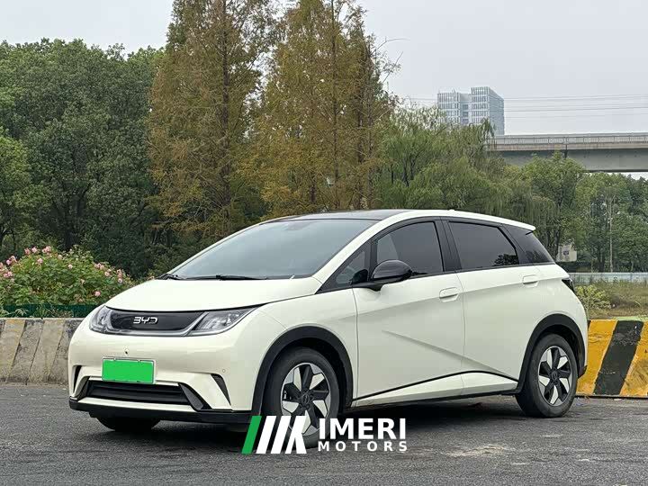 BYD Dolphin 420km Fashion Edition
