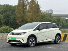 BYD Dolphin 2025 420km Fashion Edition - ფოტო 1