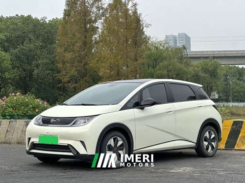 2024 BYD Dolphin 2025 420km Fashion Edition - ავტომობილი ჩინეთიდან