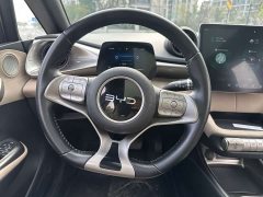 BYD Dolphin 2025 420km Fashion Edition - ფოტო 17