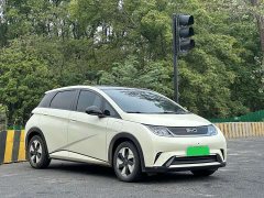 BYD Dolphin 2025 420km Fashion Edition - ფოტო 3