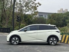 BYD Dolphin 2025 420km Fashion Edition - ფოტო 4
