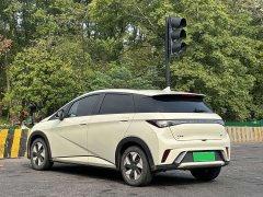 BYD Dolphin 2025 420km Fashion Edition - ფოტო 5