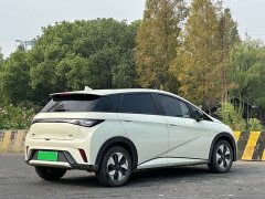 BYD Dolphin 2025 420km Fashion Edition - ფოტო 7