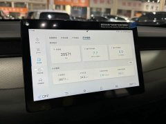 BYD Qin PLUS DM-i Smart Drive Edition 55KM Leading - ფოტო 10