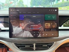 Denza BYD Denza D9 2024 DM-i 980 AWD Luxury - ფოტო 10