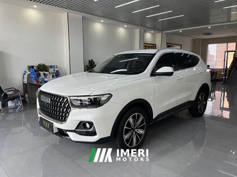 2023 Haval H6 National Trend Edition 1.5T Automatic Champion Version - ავტომობილი ჩინეთიდან
