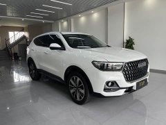 Haval H6 National Trend Edition 1.5T Automatic Champion Version - ფოტო 3