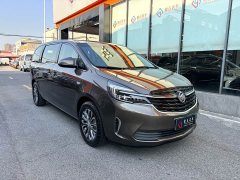 Buick GL8 Land Official Business Class 652T Comfort Edition - ფოტო 3