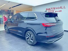 Volkswagen Viloran 330TSI Luxury - ფოტო 15