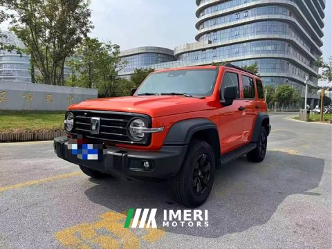 2025 Tank 300 2.0T Gasoline Conqueror - ავტომობილი ჩინეთიდან