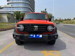 Tank 300 2.0T Gasoline Conqueror - ფოტო 2