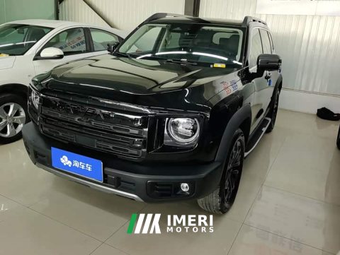 2024 Great Wall Dachshund 1.5T DCT Border Collie Edition - ავტომობილი ჩინეთიდან
