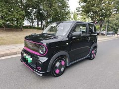 Geely Panda 210km Panda Kart - ფოტო 1