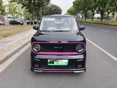 Geely Panda 210km Panda Kart - ფოტო 2