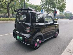 Geely Panda 210km Panda Kart - ფოტო 5