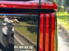 Great Wall WEY Shanshan New Energy Four-Wheel Drive Shanshan 8 - ფოტო 10