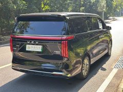 Great Wall WEY Shanshan New Energy Four-Wheel Drive Shanshan 8 - ფოტო 8