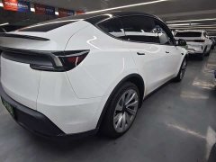 Tesla Model Y Long Range All-Wheel Drive - ფოტო 8