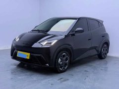 BYD Seagull 305km Freedom Edition - ფოტო 1