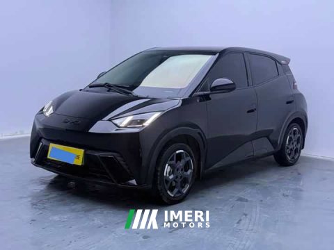 2025 BYD Seagull 305km Freedom Edition - ავტომობილი ჩინეთიდან