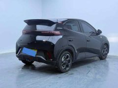 BYD Seagull 305km Freedom Edition - ფოტო 5