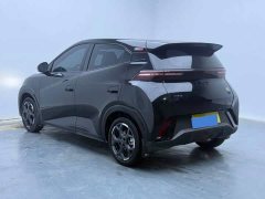 BYD Seagull 305km Freedom Edition - ფოტო 6