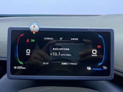 BYD Seagull 305km Freedom Edition - ფოტო 7