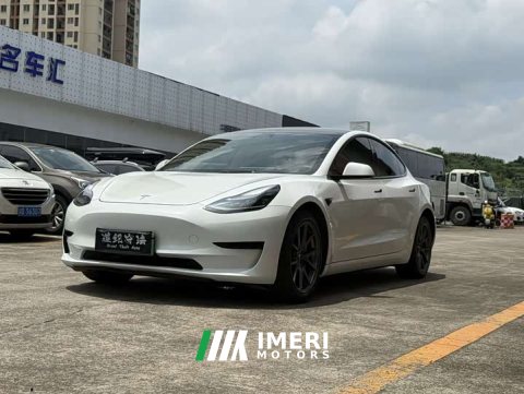 2022 Tesla Model 3 Rear-Wheel Drive - ავტომობილი ჩინეთიდან