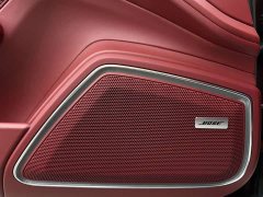 Porsche Panamera 2.9T - ფოტო 13