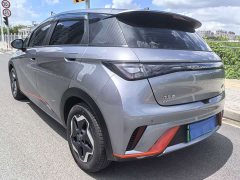 BYD Dolphin 420km Freedom Edition - ფოტო 13