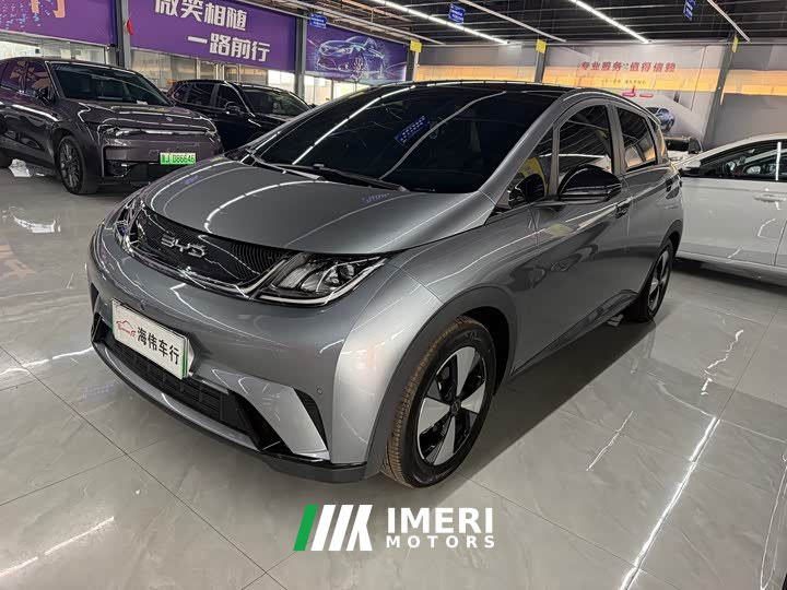 BYD Dolphin 420km Fashion Edition - ავტომობილი ჩინეთიდან