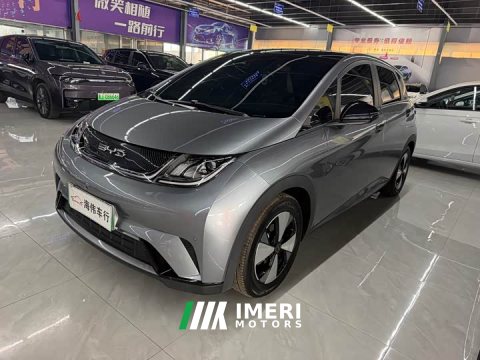 2023 BYD Dolphin 420km Fashion Edition - ავტომობილი ჩინეთიდან