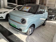 Geely Panda Mini 200km Endurance Edition - ფოტო 1