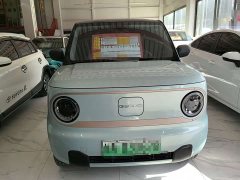 Geely Panda Mini 200km Endurance Edition - ფოტო 2