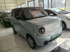 Geely Panda Mini 200km Endurance Edition - ფოტო 3