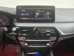 BMW 5 Series 530Li Luxury M Sport Package - ფოტო 12