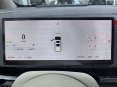 Voyah Lantu Dreamchaser PHEV AWD Luxury Kunpeng Edition - ფოტო 13
