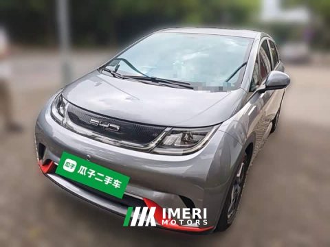 2022 BYD Dolphin 405km Freedom Edition - ავტომობილი ჩინეთიდან