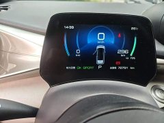 BYD Dolphin 405km Freedom Edition - ფოტო 12