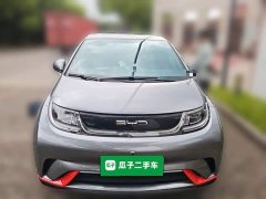 BYD Dolphin 405km Freedom Edition - ფოტო 2