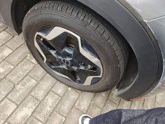 BYD Dolphin 405km Freedom Edition - ფოტო 8