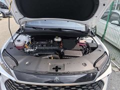 BYD Qin PLUS DM-i Smart Drive Edition 55KM Leading - ფოტო 3
