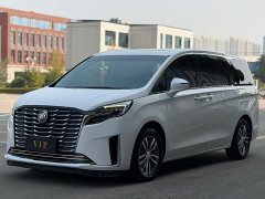 Buick GL8 ES Luxe 653T Comfort - ფოტო 1
