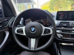 BMW X3 xDrive25i M Sport Package - ფოტო 16