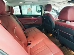 BMW 5 Series Facelift 530Li Premier Luxury Package - ფოტო 5