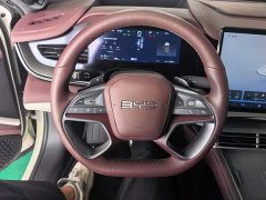 BYD Dolphin 07 DM-i 2026 DM-i 1.5T 230km Flagship - ფოტო 15